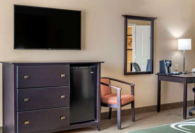 فندق Quality Inn & Suites Amsterdam