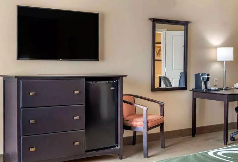 هتل Quality Inn & Suites Amsterdam