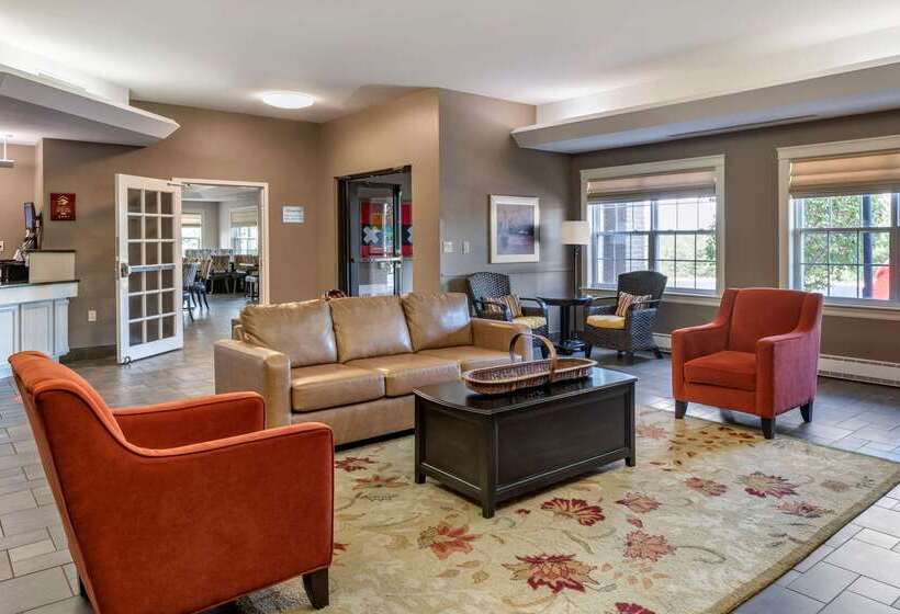 فندق Quality Inn & Suites Amsterdam