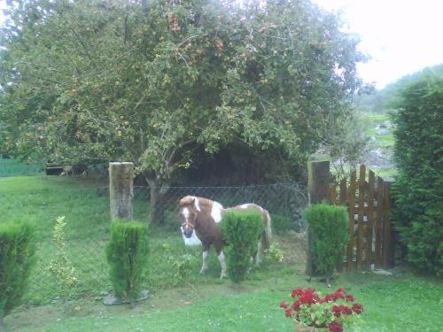 Landelijk hotel Casa De Aldea El Frade