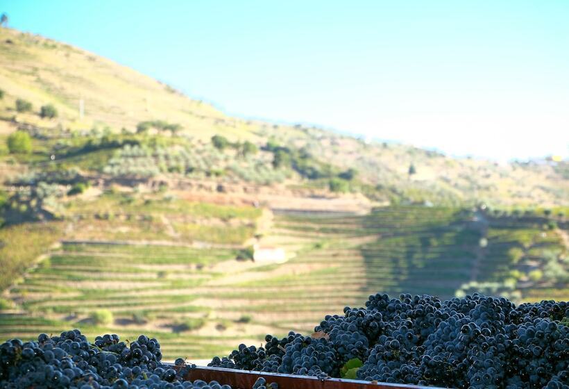 فندق ريفى Rural Da Quinta Do Silval