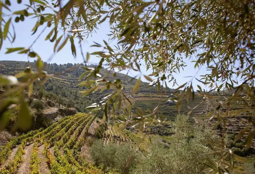 교외 호텔 Rural Da Quinta Do Silval