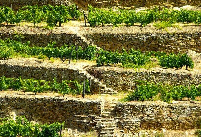 فندق ريفى Rural Da Quinta Do Silval