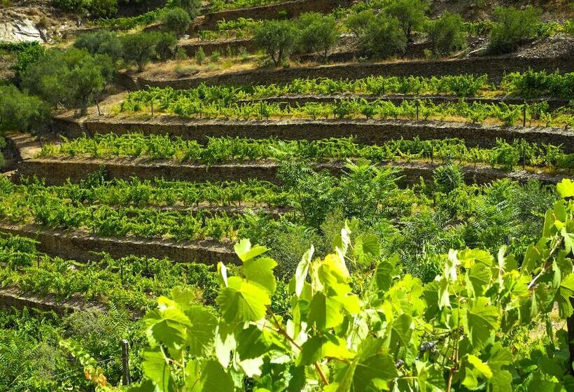 فندق ريفى Rural Da Quinta Do Silval