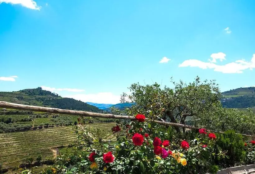 교외 호텔 Rural Da Quinta Do Silval