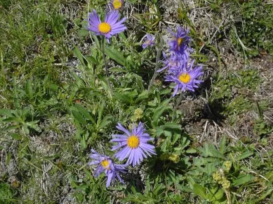 Nationalparkhotel Schihof