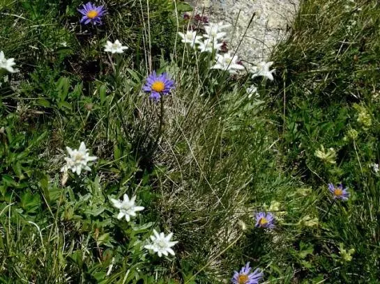 Nationalparkhotel Schihof