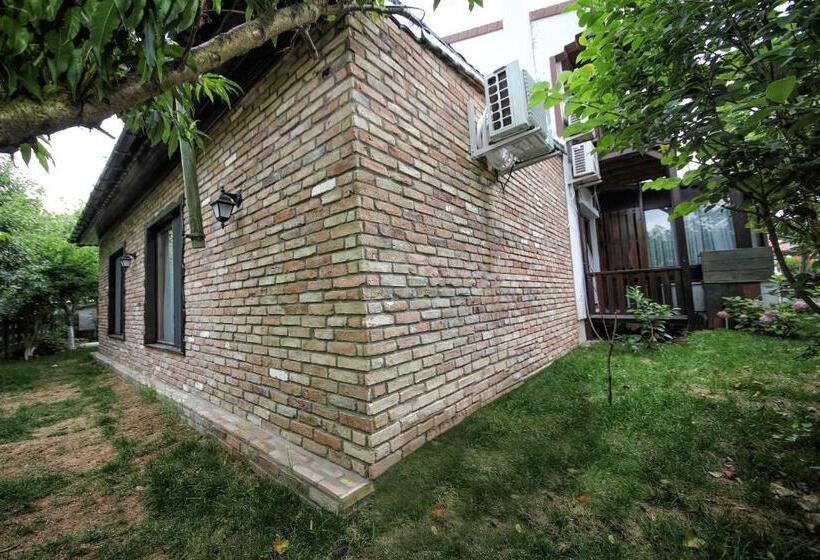 Ağva Deniz Yıldızı Otel