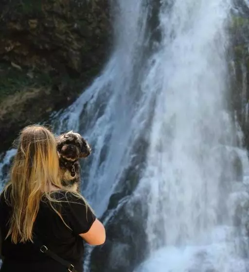 Boutique Hotel Alpenhof