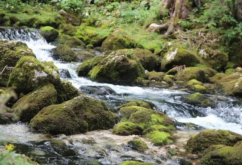 Boutique Hotel Alpenhof