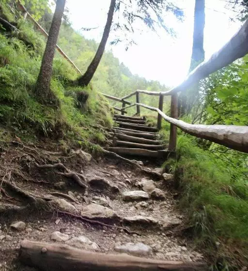 Boutique Hotel Alpenhof