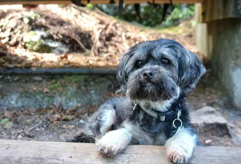 Boutique Hotel Alpenhof