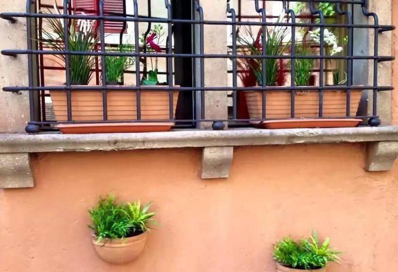 Hotel Domus Tiberina