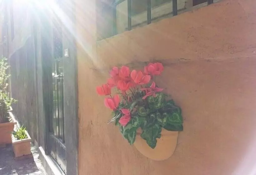 Hotel Domus Tiberina