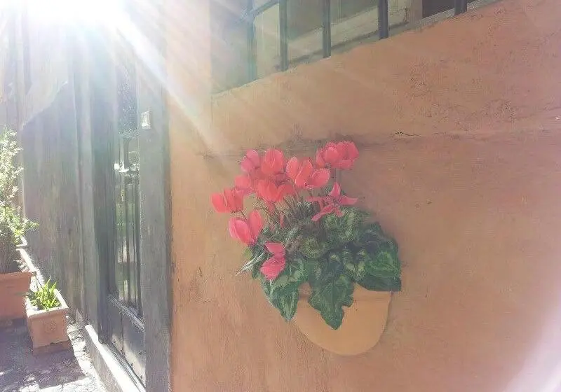 Hotel Domus Tiberina
