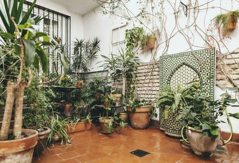 هتل El Riad Andaluz