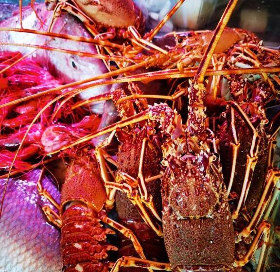 هتل Embarcadero De Calahonda De Granada