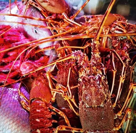 호텔 Embarcadero De Calahonda De Granada