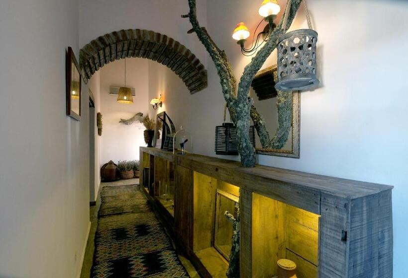 בית מלון כפרי Herdade Da Negrita