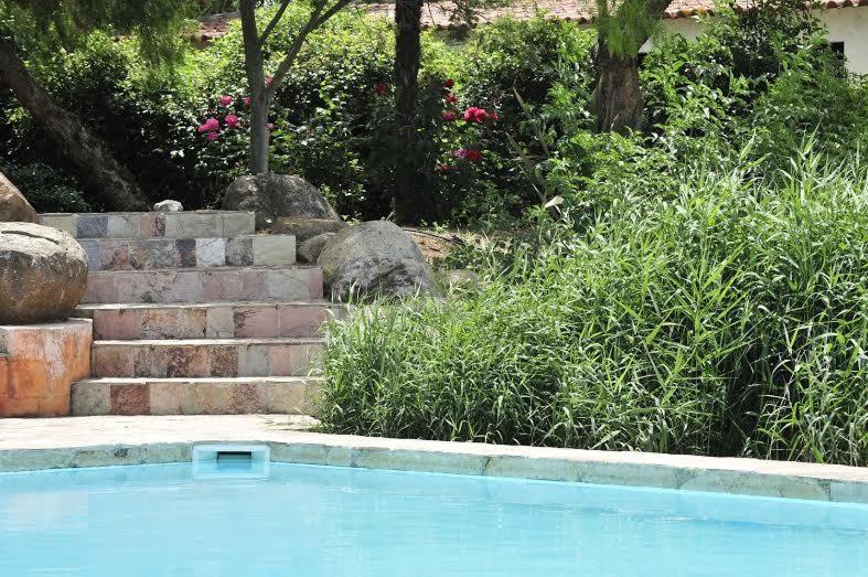 בית מלון כפרי Herdade Da Negrita