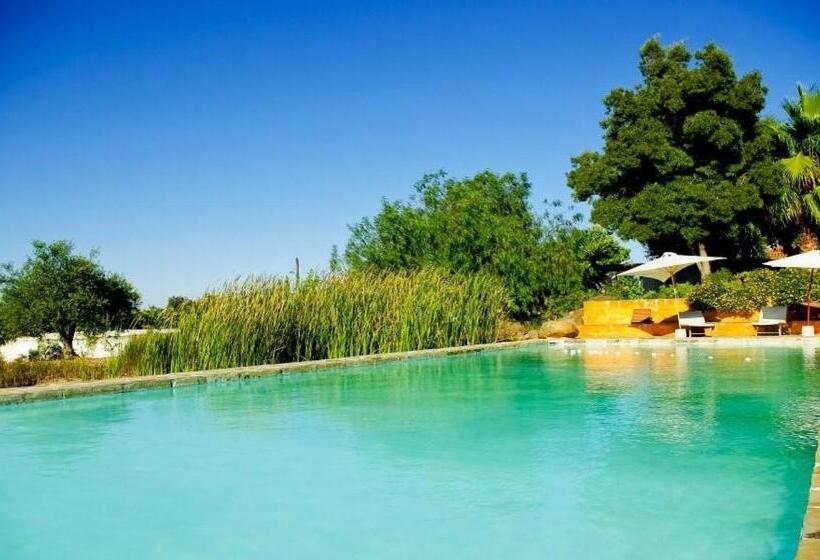 בית מלון כפרי Herdade Da Negrita