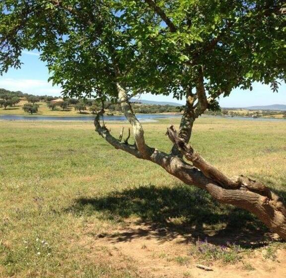 בית מלון כפרי Herdade Da Negrita