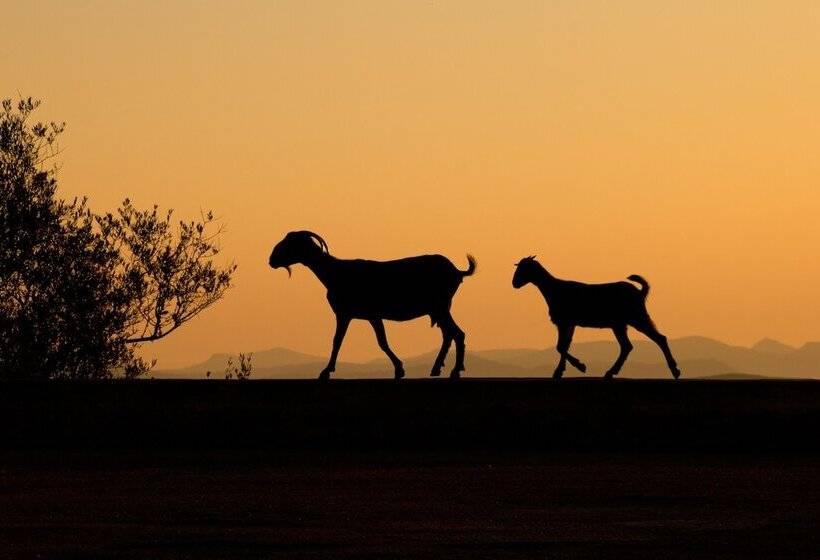 Petit Hotel Hostatgeria Sant Salvador