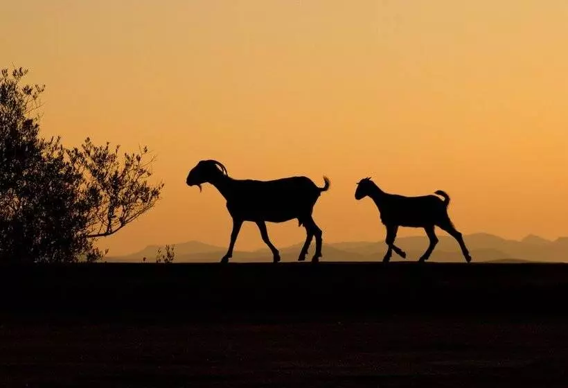 Petit Hotel Hostatgeria Sant Salvador