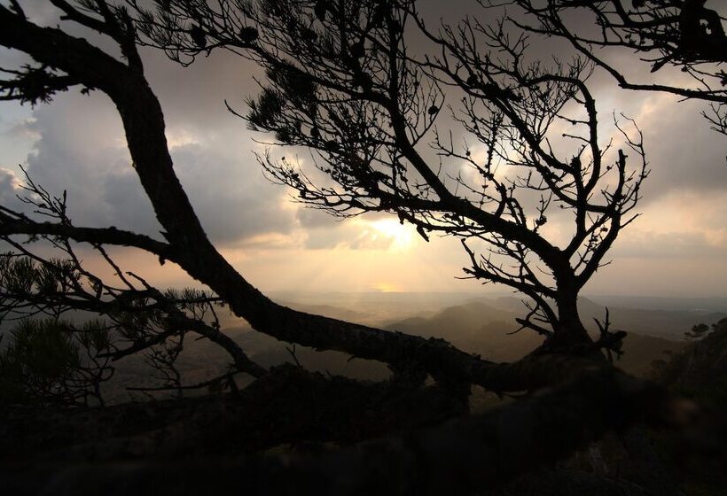 Petit Hotel Hostatgeria Sant Salvador