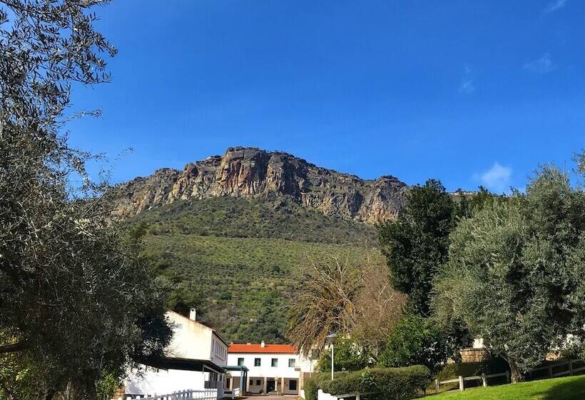 Сельский отель Hospederia Rural Aldeaduero