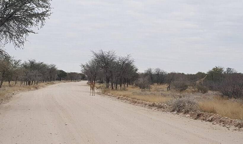 هتل Tautona Lodge