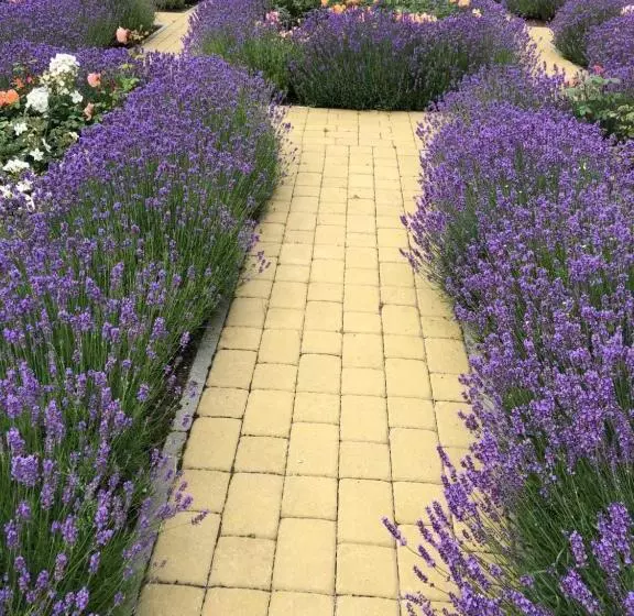 پانسیون Franciscan Guest House