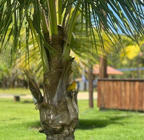 膳宿费 Paraíso Capitólio A Pousada Da Dona Perpetua