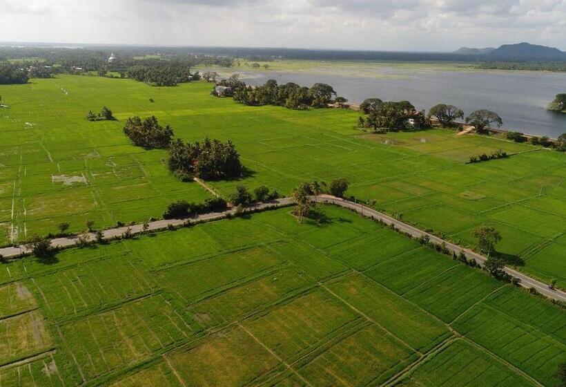 ベッドアンドブレックファースト Olu Villa Resort