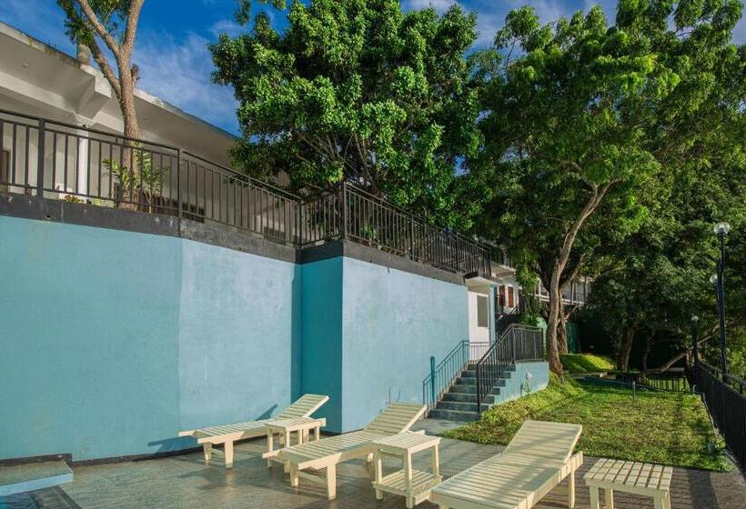 ベッドアンドブレックファースト Olu Villa Resort