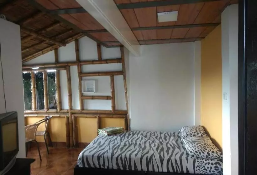 هتل Cabañas El Mirador Boqueron
