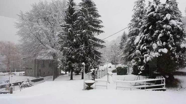 هتل Nouveau Mirabeau