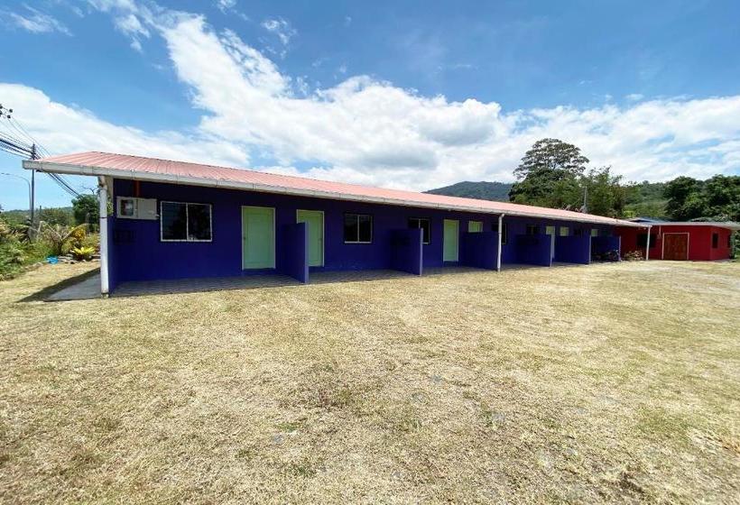 Hotel Oyo 90268 Lohan Point Lodge