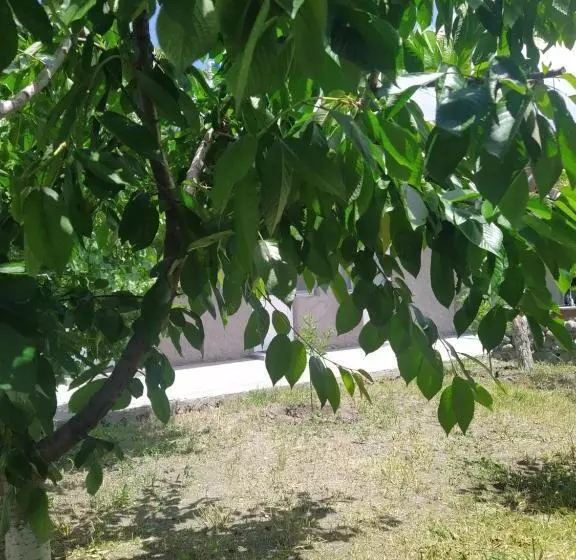 پانسیون Vanand Guest House