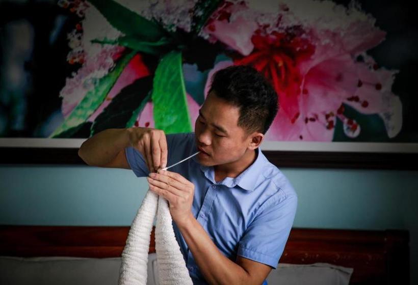 Bed & Breakfast Vinasapa