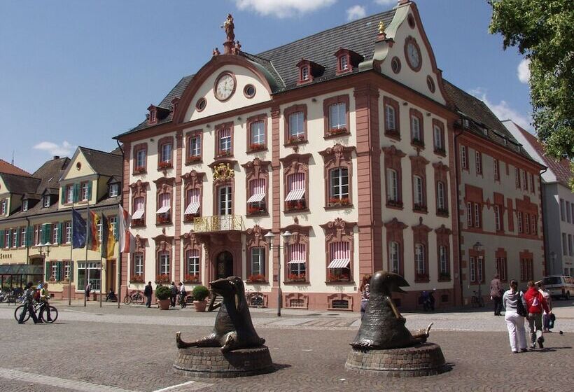 호텔 Holiday Inn Express   Offenburg, An Ihg