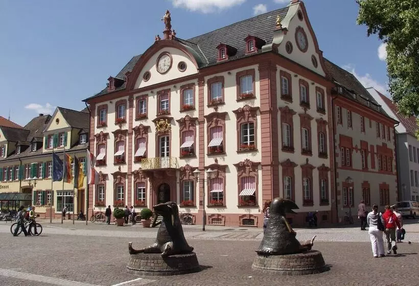 ホテル Holiday Inn Express Offenburg, An Ihg