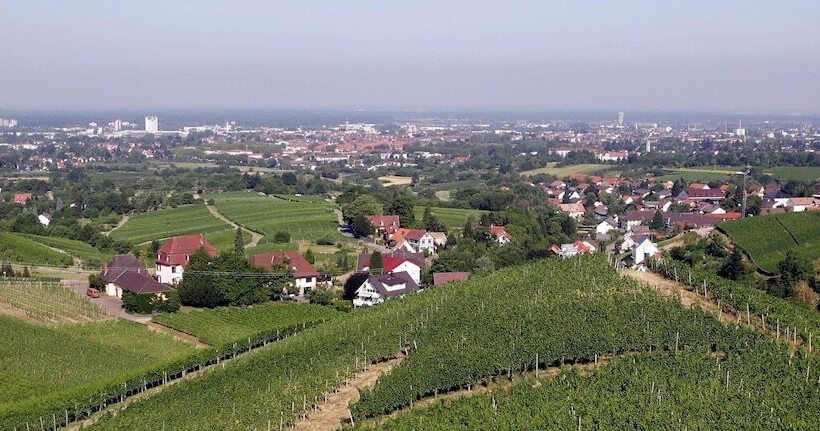 호텔 Holiday Inn Express   Offenburg, An Ihg