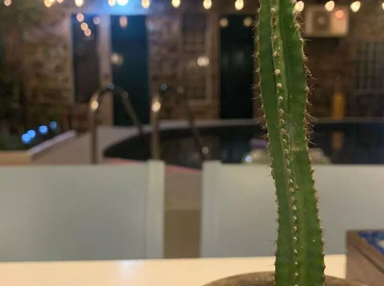 ペンション Casa Pimampiro