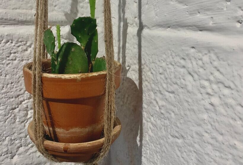 بنسيون Casa Pimampiro