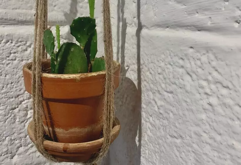 ペンション Casa Pimampiro