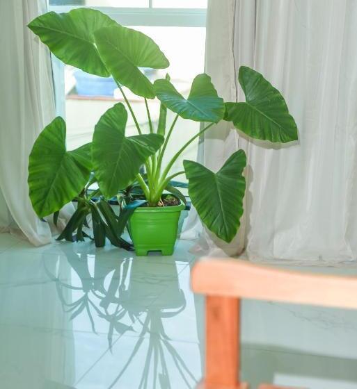 Pension Pousada Central De Arraial