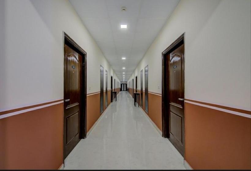 Hotel Chris Whitefield