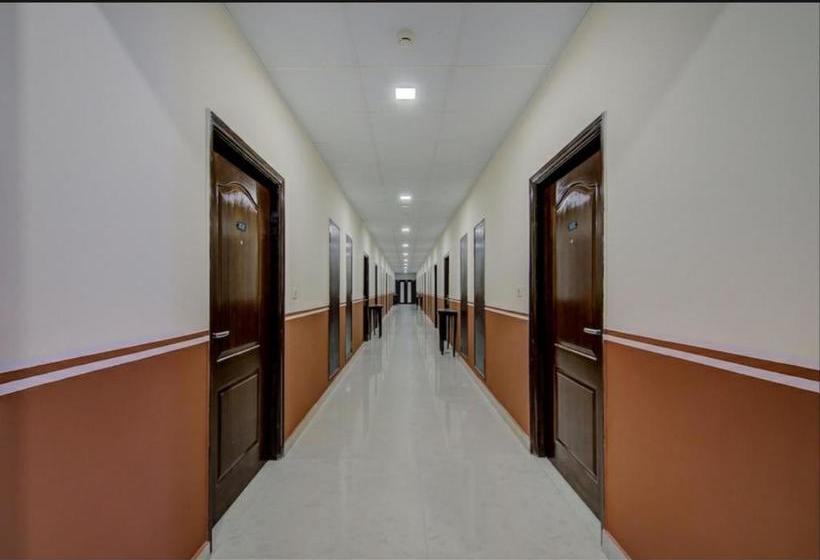 Hotel Chris Whitefield