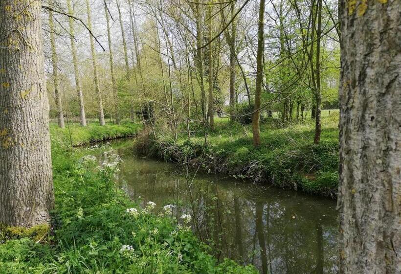 تختخواب و صبحانه Hofstede Ter Biest